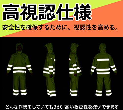 レインベルデN  2