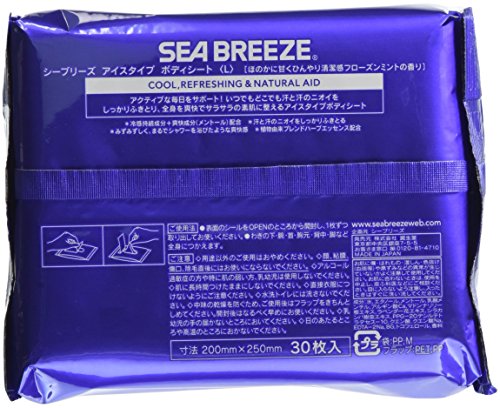 アイスタイプ　ボディシート　フローズンミント 2
