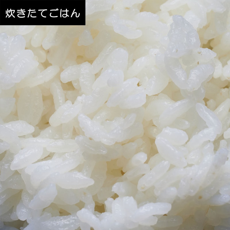 IH炊飯ジャー 9