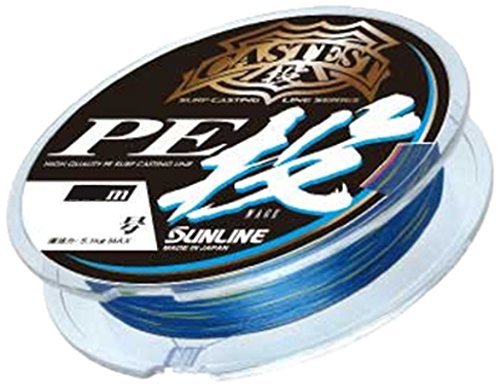 キャステスト PE投 1