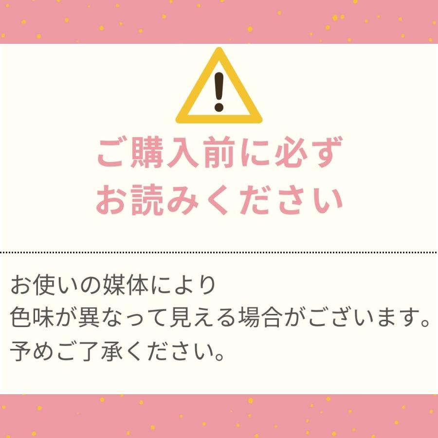 キャスターカバー 11