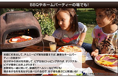 メキシコ産 ピザ窯 5