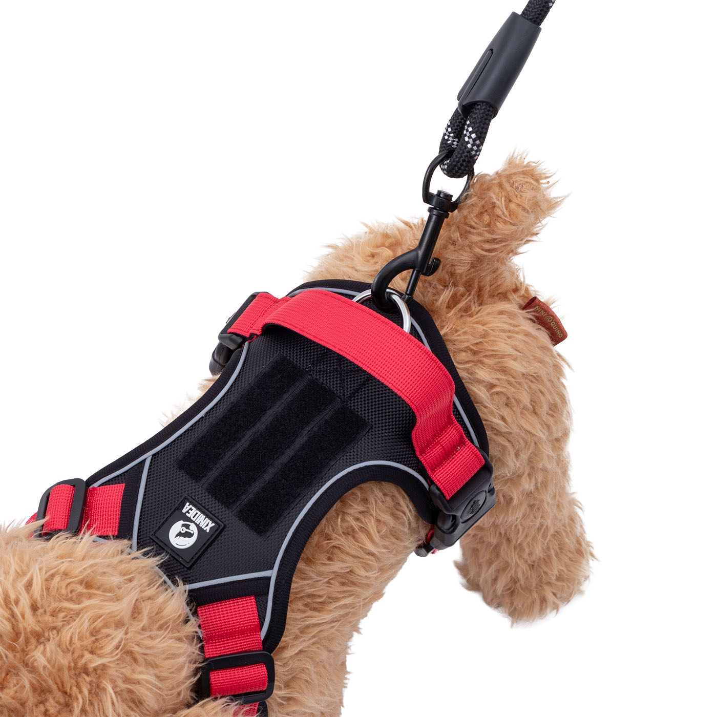 犬用ハーネスセット 6