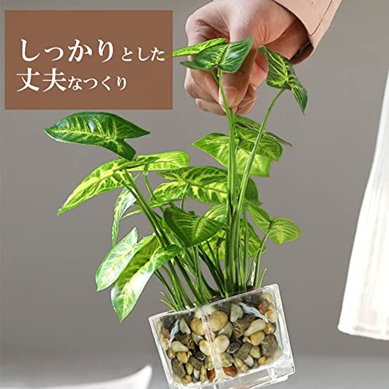 フェイクグリーン 3