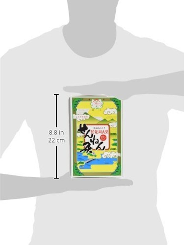 琵琶湖 A型 2