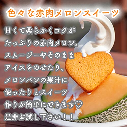 高知県産 赤肉 マスクメロン 3