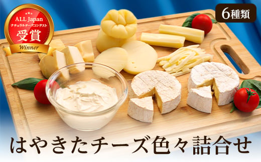 夢民舎ブランド はやきたチーズ色々詰合せセット 1