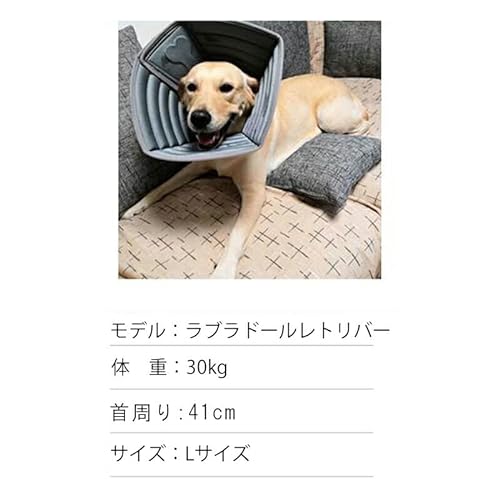 ソフトタイプエリザベスカラー 5