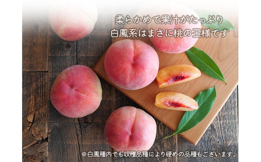 桃 白鳳系 2