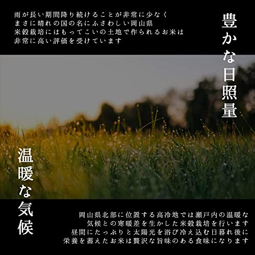 岡山県産 ひのひかり 6