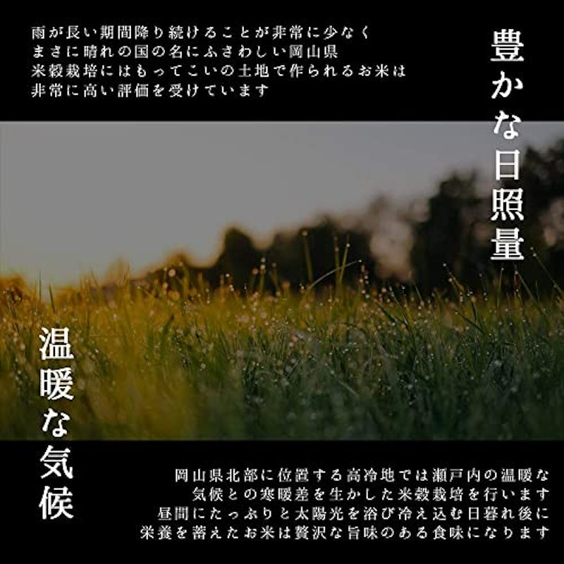 岡山県産 ひのひかり 6