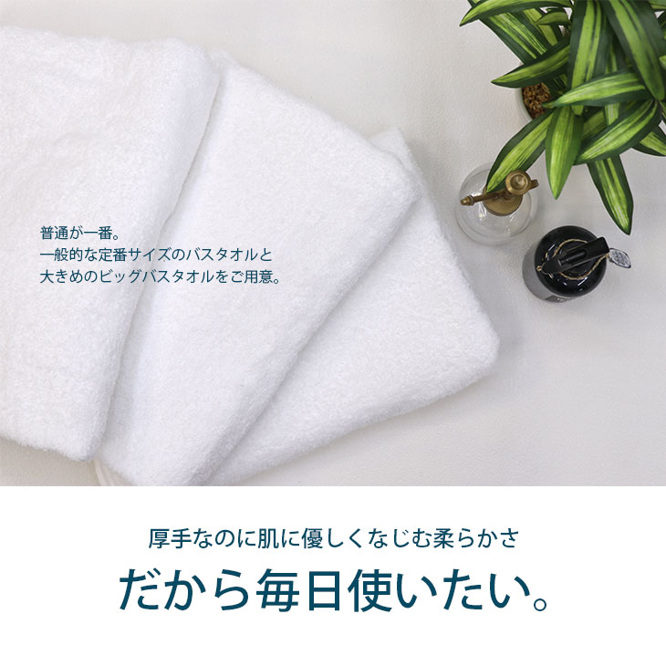 ビッグバスタオル 2