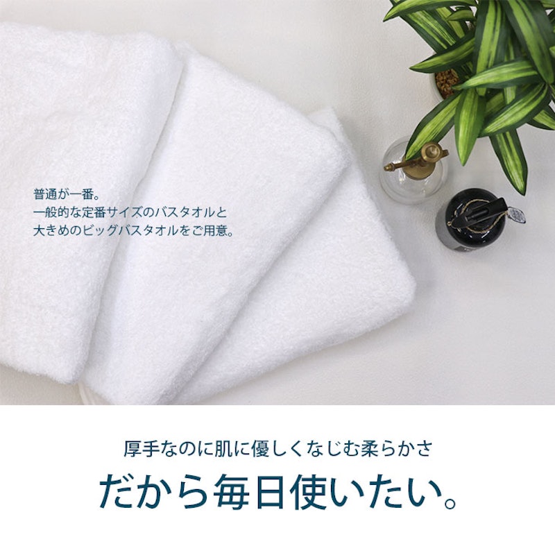 ビッグバスタオル 2