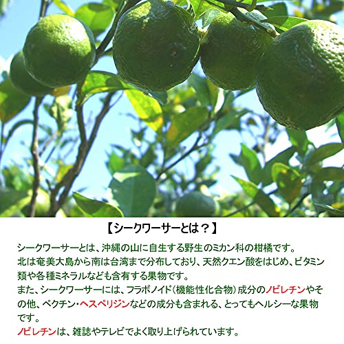 まるごと搾った シークワーサー 3