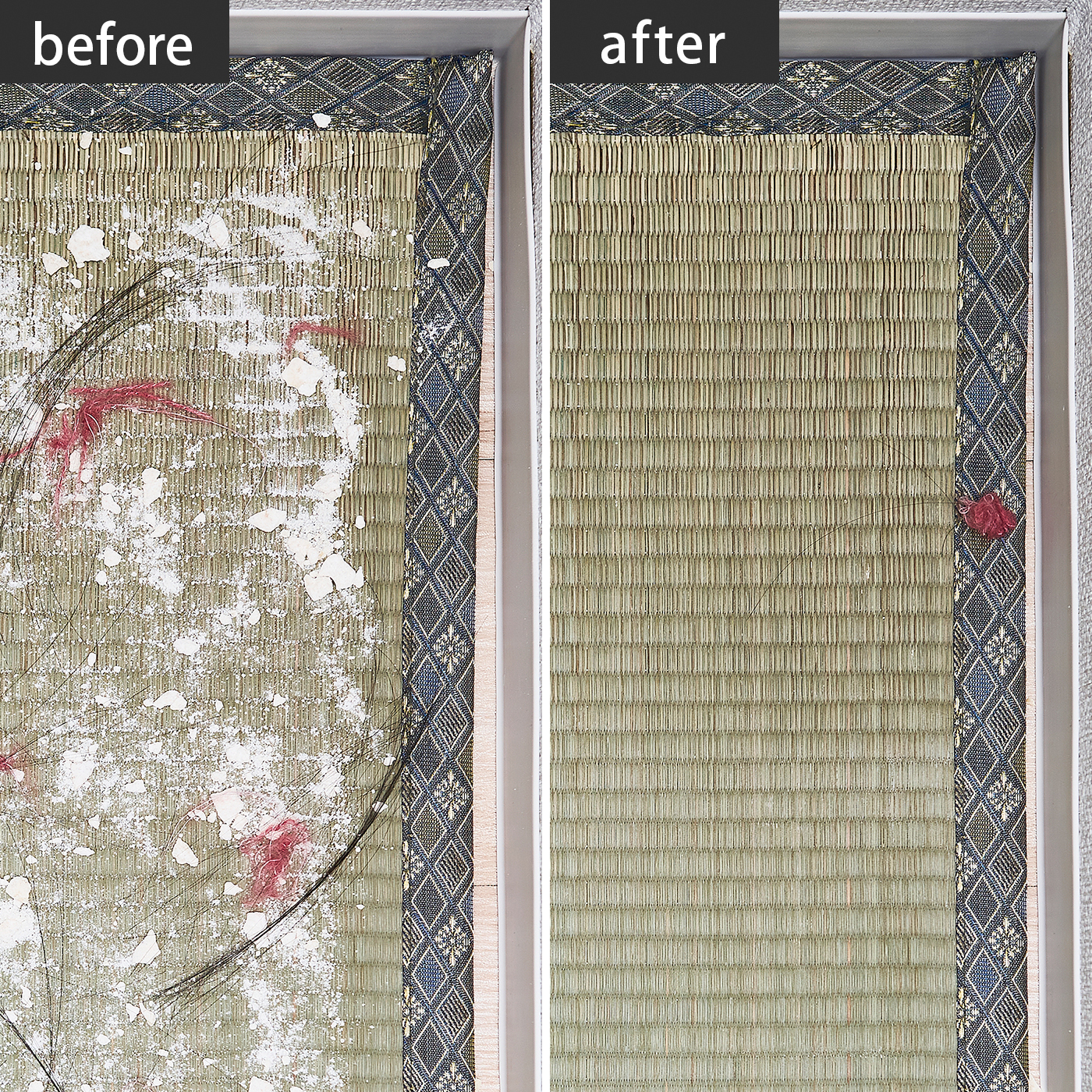 Dyson Ball Fluffy Cy24ffを全16商品と比較 口コミや評判を実際に使ってレビューしました Mybest