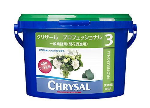 切り花延命剤のおすすめ人気ランキング【2025年】 | マイベスト 切り花延命剤のおすすめ人気ランキング【2025年】 | マイベスト