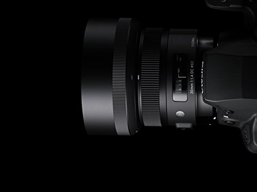 30mm F1.4 DC HSM | Art 7