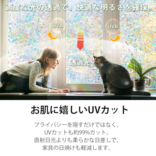 窓ガラス目隠しフィルム 5