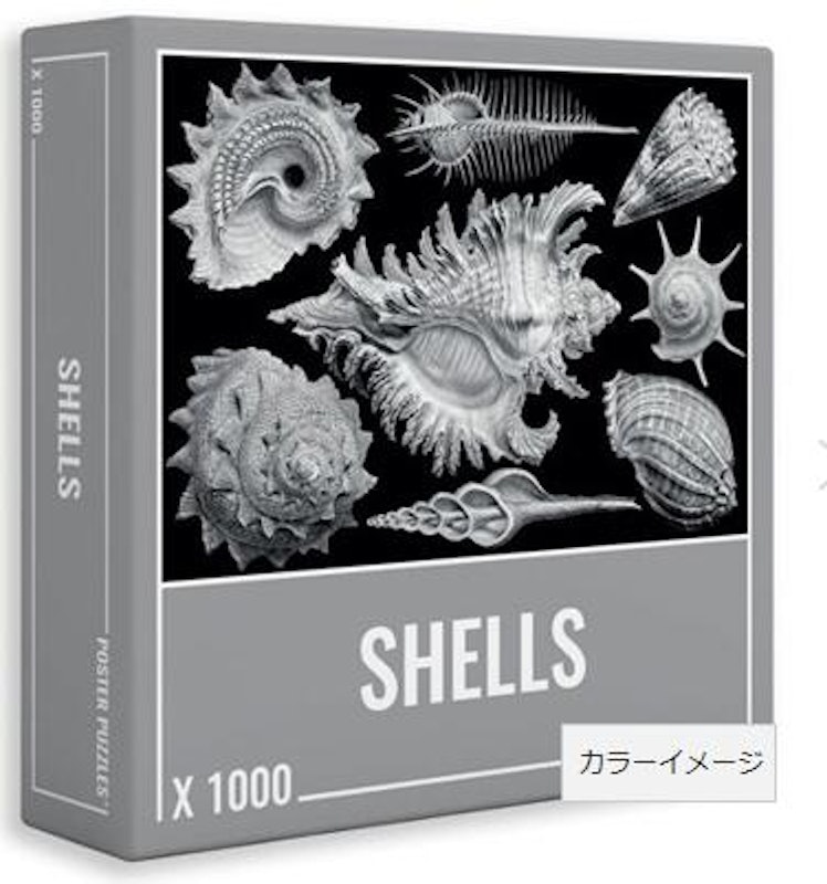 シェルズ 1