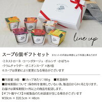 ベジMOTTOスープ6個ギフトセット 4
