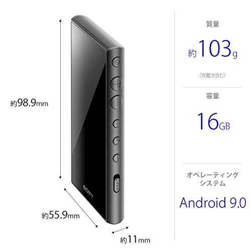 ハイレゾポータブルプレーヤーのおすすめ人気ランキング【2025年