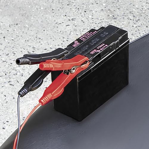 12Vバッテリー専用充電器 ALL CHARGER 5