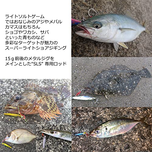 ソルティーステージプロトタイプ 3