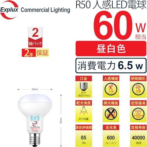 LEDレフ電球  2