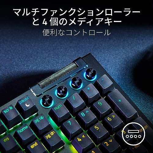BlackWidow V4 7