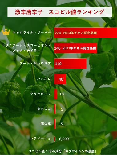 国産キャロライナリーパー 3