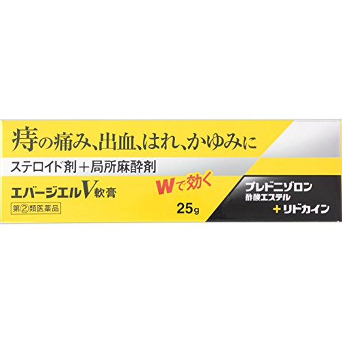エバージエルV軟膏 1