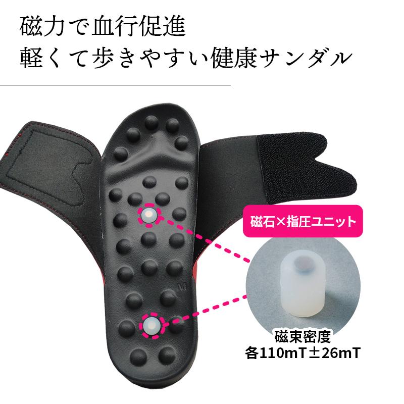 シリコンマグ プラス 4