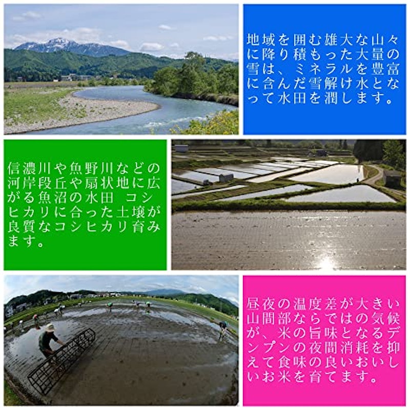 魚沼産コシヒカリ 3