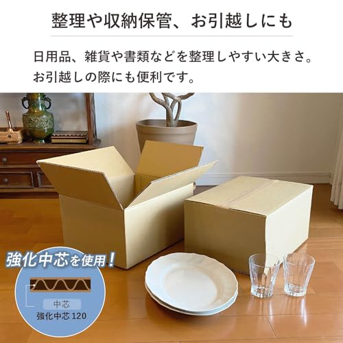 ダンボール 4