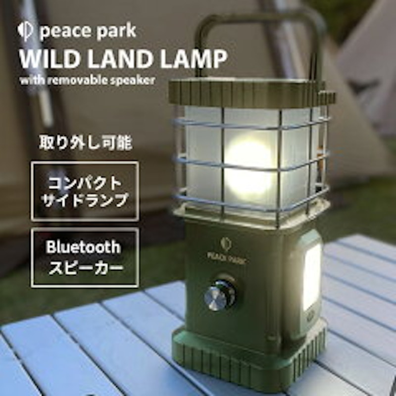 ワイルドランプ 1