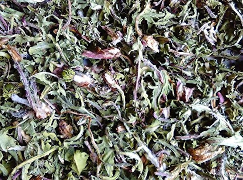 タンポポ茶 1