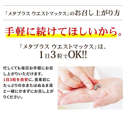 メタプラス ウエストマックス 6