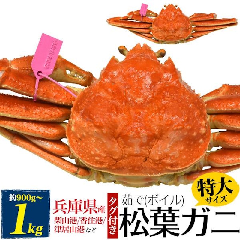 兵庫県産 松葉ガニ 1