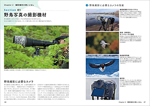野鳥写真の教科書 3