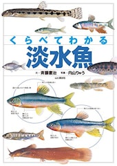 21年 魚図鑑のおすすめ人気ランキング15選 Mybest