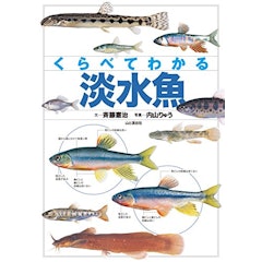 21年 魚図鑑のおすすめ人気ランキング15選 Mybest 21年 魚図鑑のおすすめ人気ランキング15選 Mybest