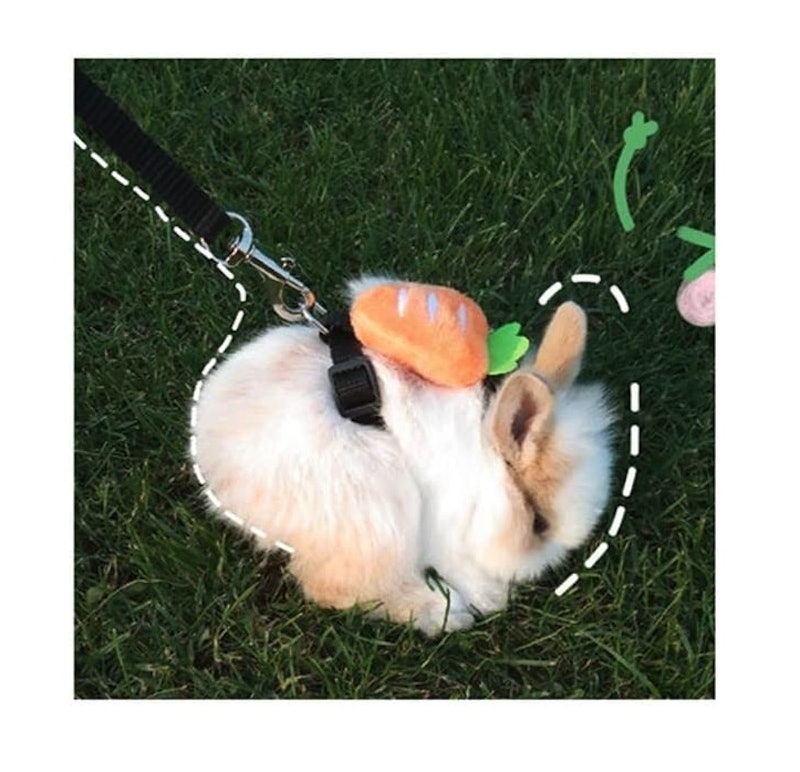 小動物用ハーネス 3