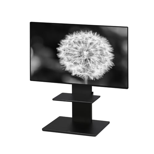 WALL B1 テレビスタンド + 棚板付き セット 1