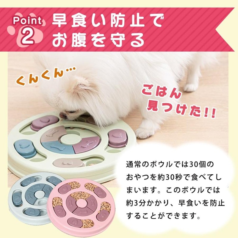 ノーズワーク 3