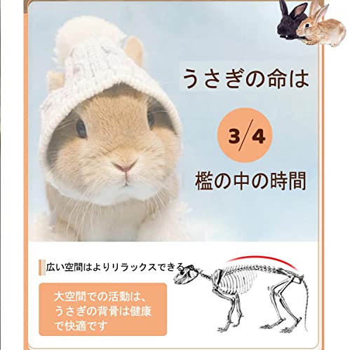 ウサギ小屋 5