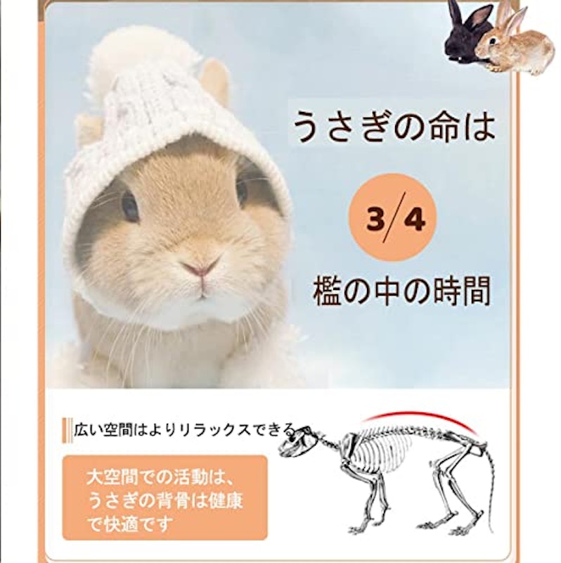 ウサギ小屋 5