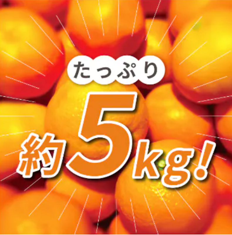 頂みかん 2