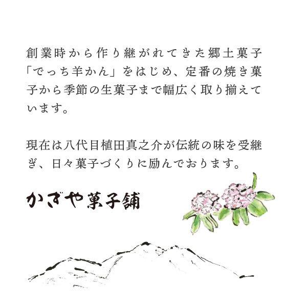 ひとくち羊羹 ようこ 15
