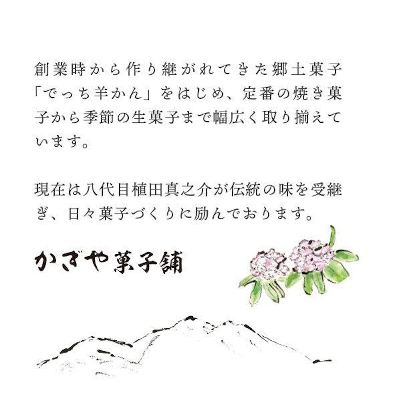 ひとくち羊羹 ようこ 15