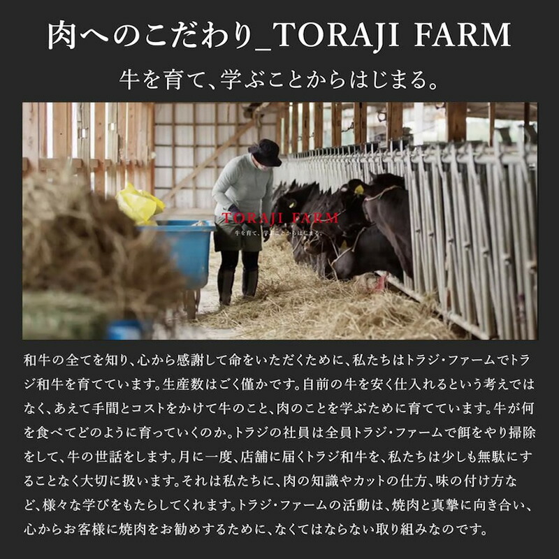 厳選セット 12